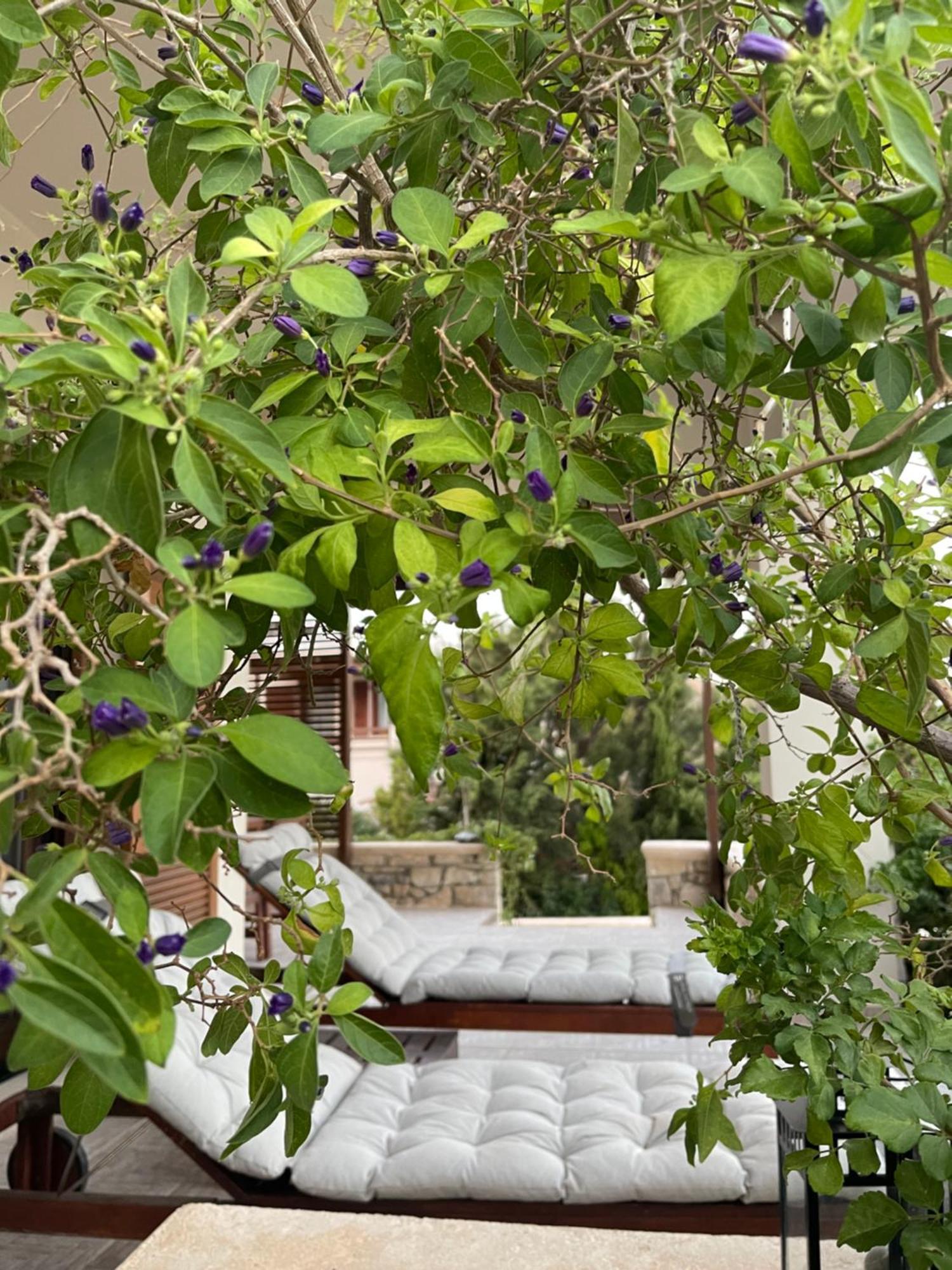 Natica Mare Villas Ξηρόκαμπος Εξωτερικό φωτογραφία